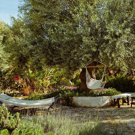 Cortebbianca Φαζάνο Εξωτερικό φωτογραφία